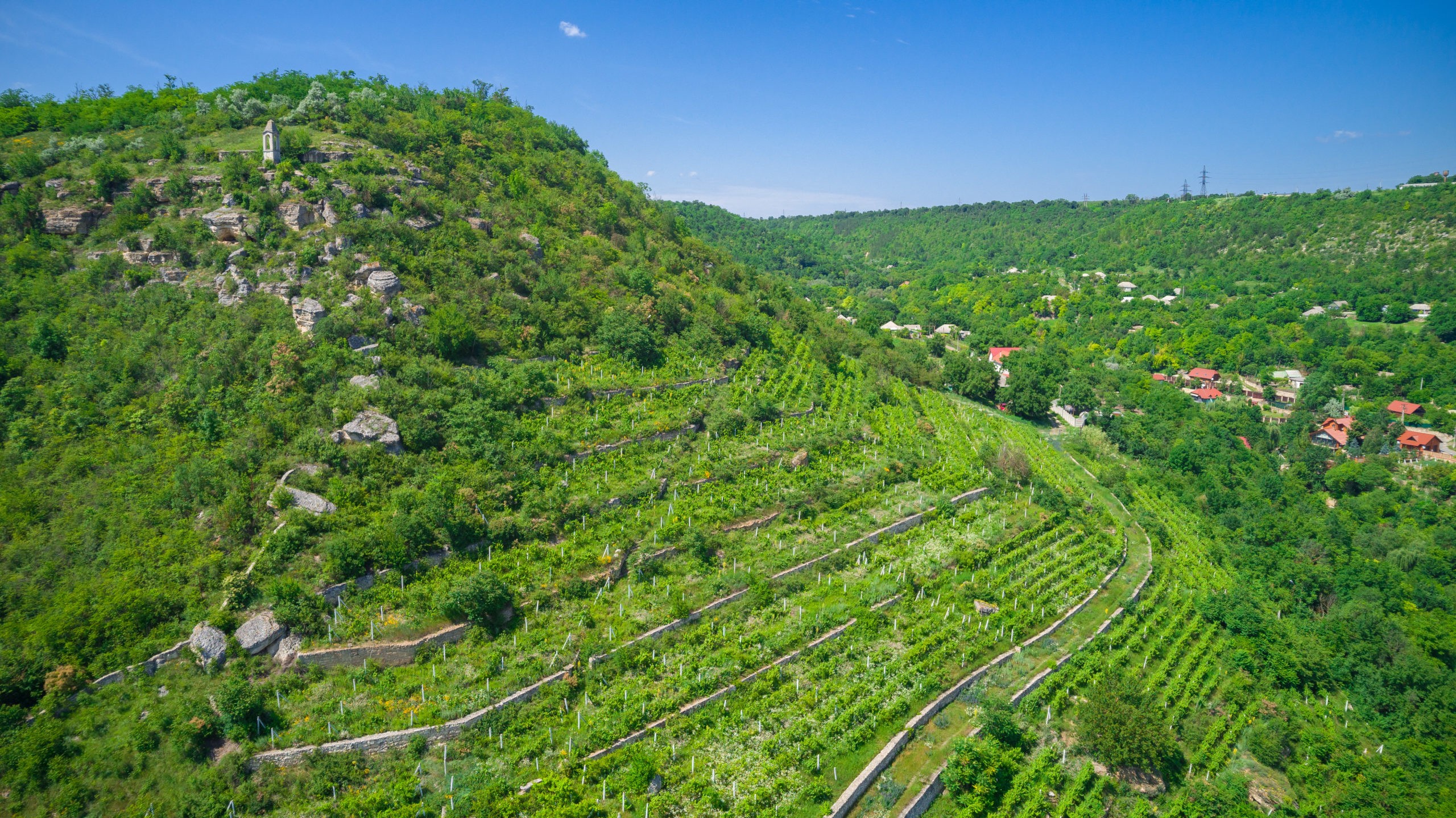 Виноградные террасы Строенцы